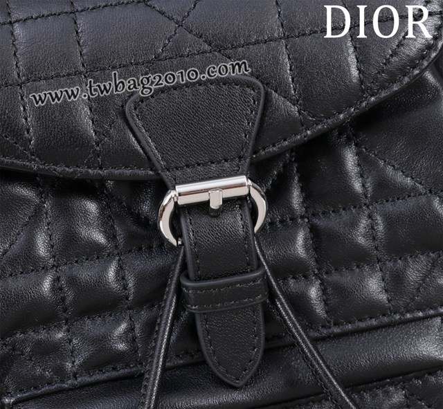 Dior专柜新款迪奥高仿原单女士双肩背包D007-006 djfk1593